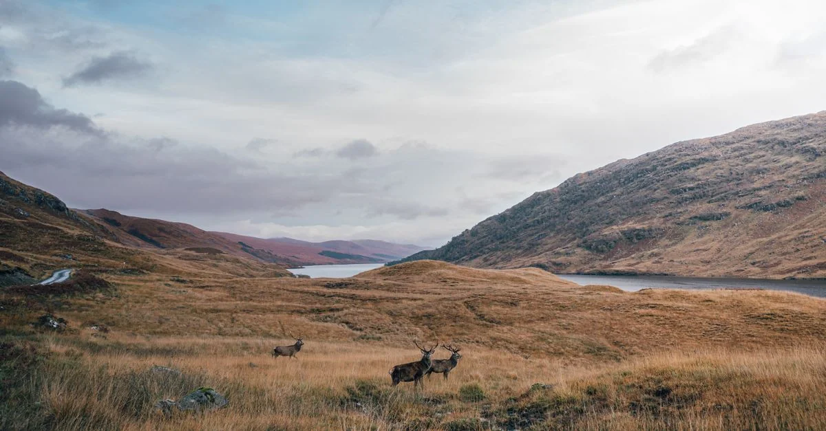 Inverness Adventure Guide: Hiking with Prices and Tips