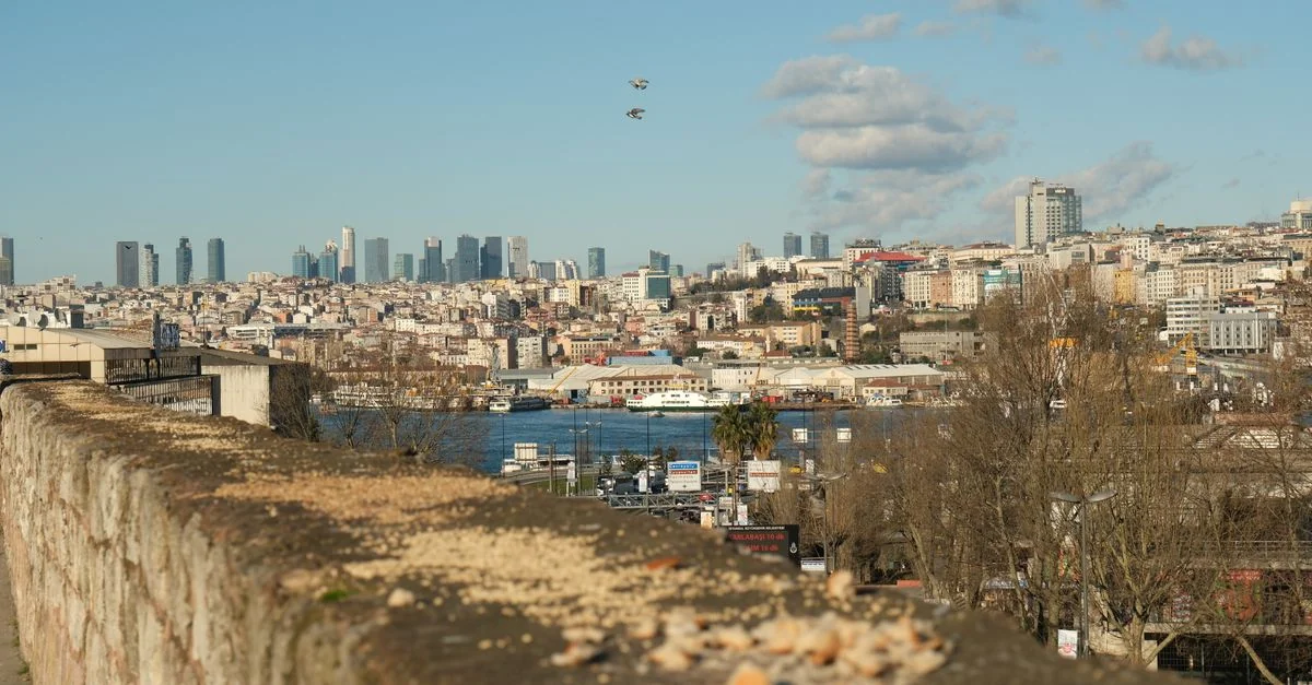 Istanbul Sightseeing and City Tour Guide