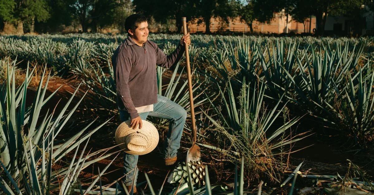 Exploring Jalisco: The Best City Tours and Sightseeing Guide