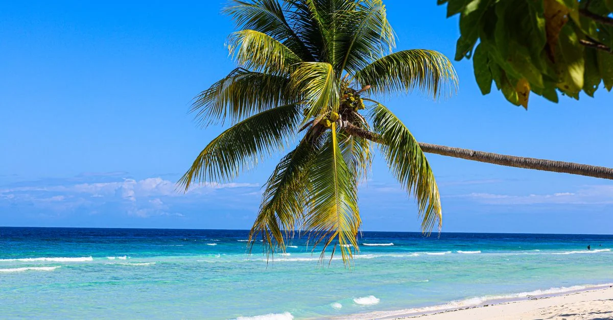 Navigating Jamaica, New York: Airport and Transfer Guide