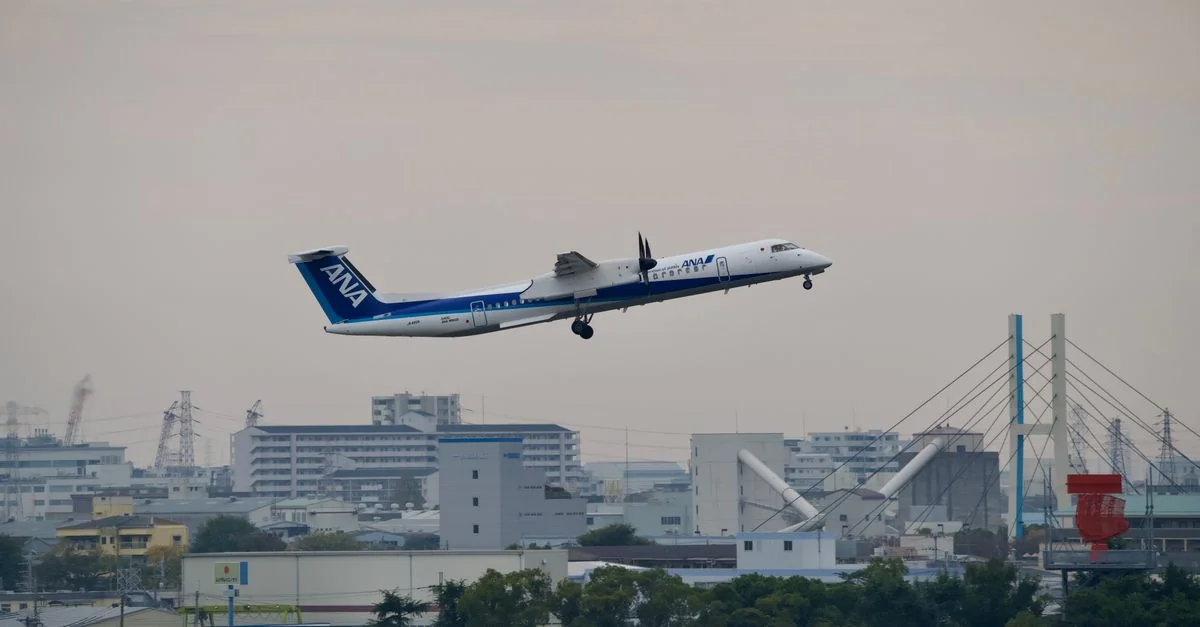 Japan Airlines Comprehensive Carrier Review and Data Analysis