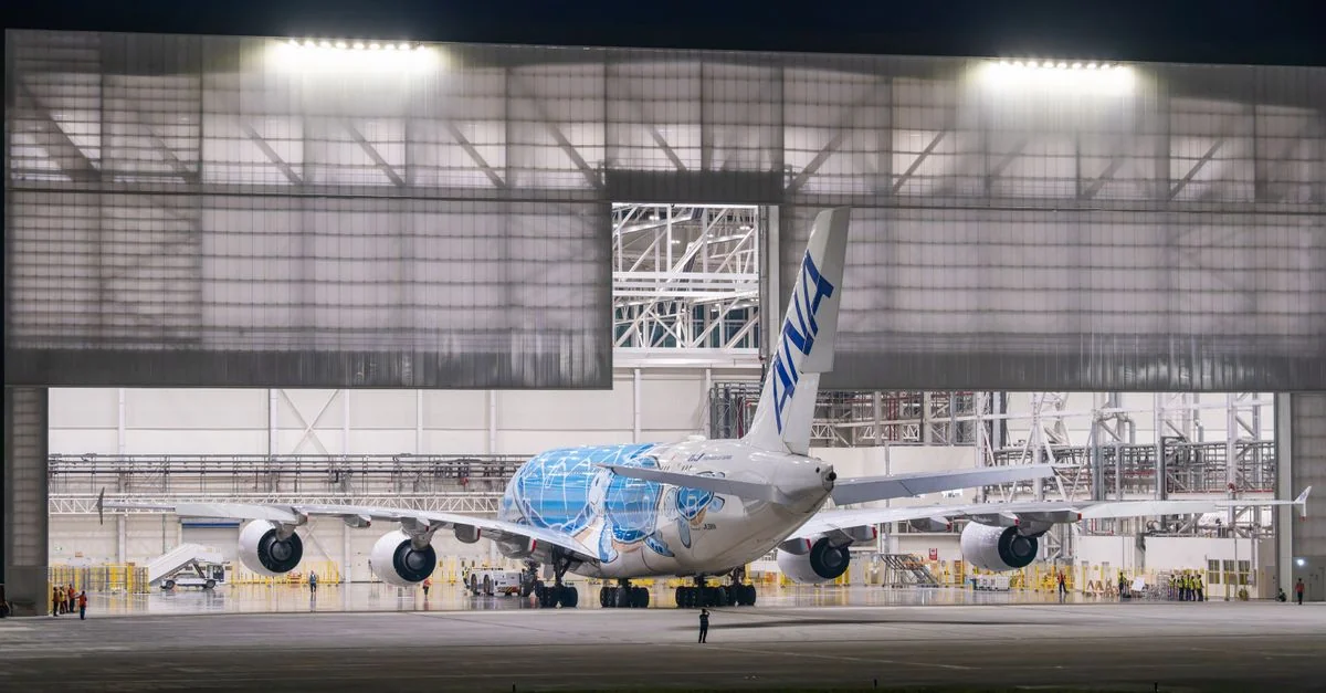 Japan Airlines Comprehensive Carrier Review and Data Analysis
