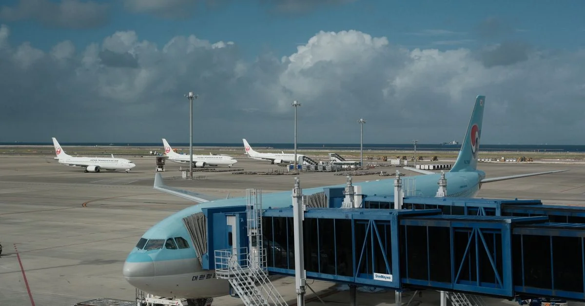 Japan Airlines Comprehensive Carrier Review and Data Analysis