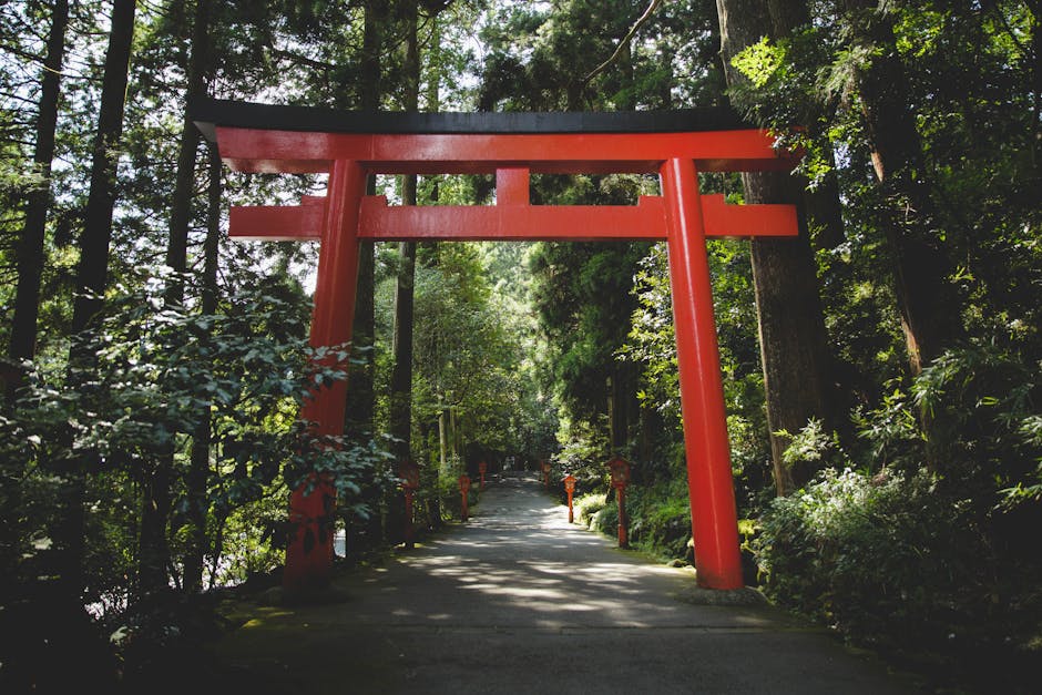 japan-visa-free