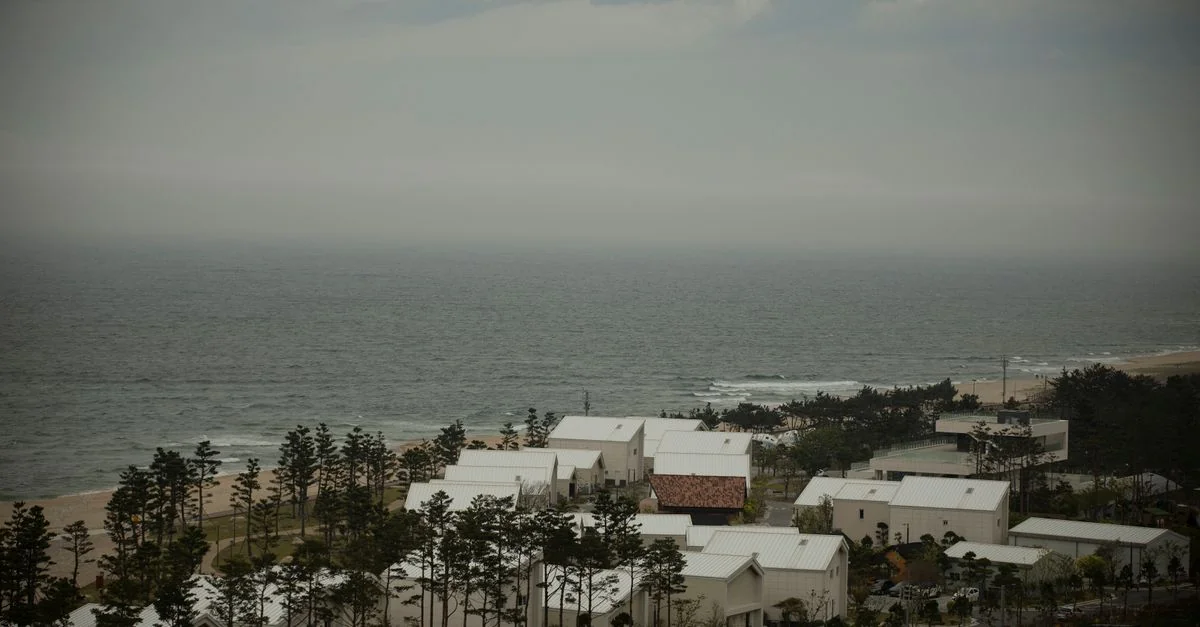 Navigating Jeju-Do: Volcanic Craters, Coastal Cliffs, and Lava Tubes on a Day Trip