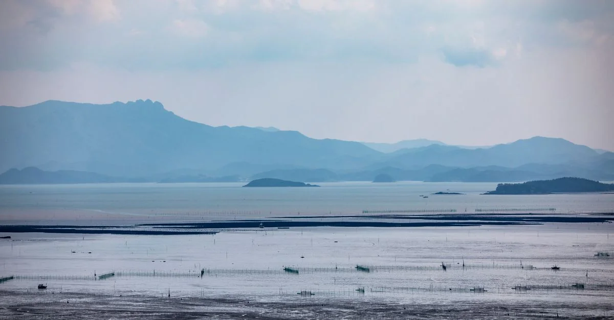 Navigating Jeju-Do: Volcanic Craters, Coastal Cliffs, and Lava Tubes on a Day Trip