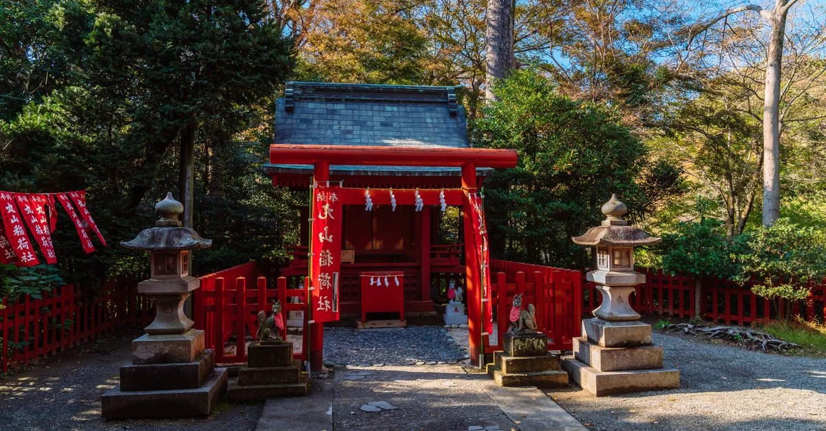 Day Trips From Kanagawa: Beaches, Ruins & Safari in One Day
