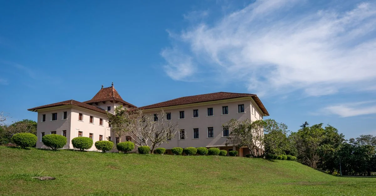 Kandy Adventure Guide: Hiking, Rafting, and Wildlife Tours with Prices