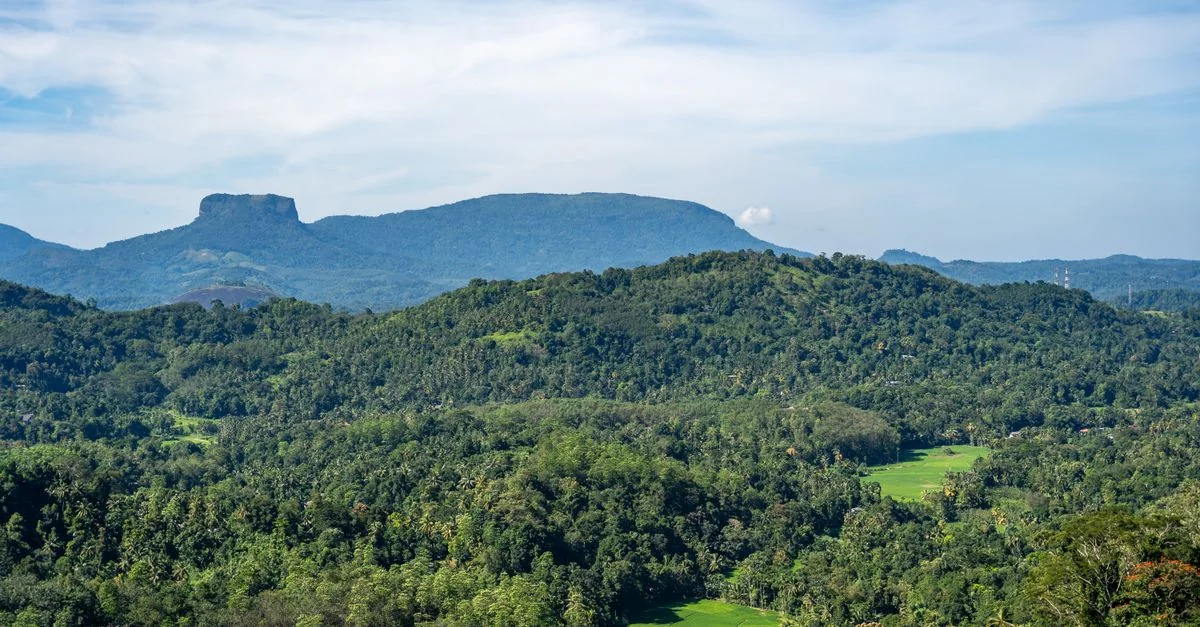 Exploring Kandy: The Ultimate City Tours and Sightseeing Guide