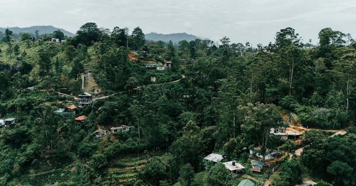 Exploring Kandy: The Ultimate City Tours and Sightseeing Guide