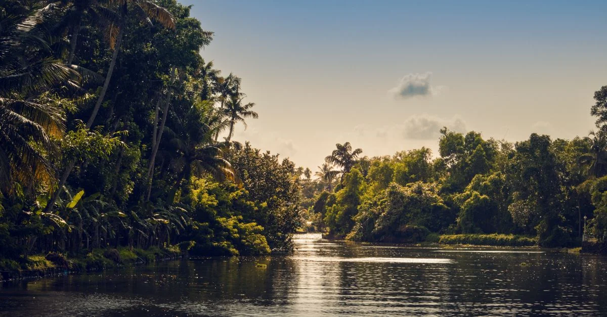Nature and Wildlife Tours in Kerala: Safari, Birdwatching and Eco Adventures