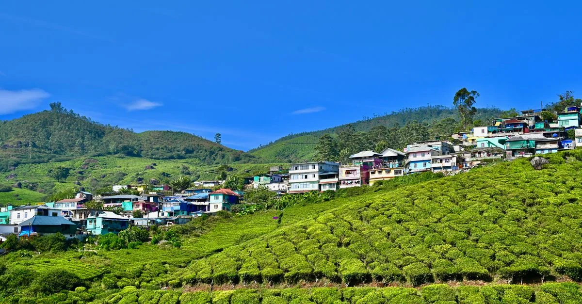 Nature and Wildlife Tours in Kerala: Safari, Birdwatching and Eco Adventures