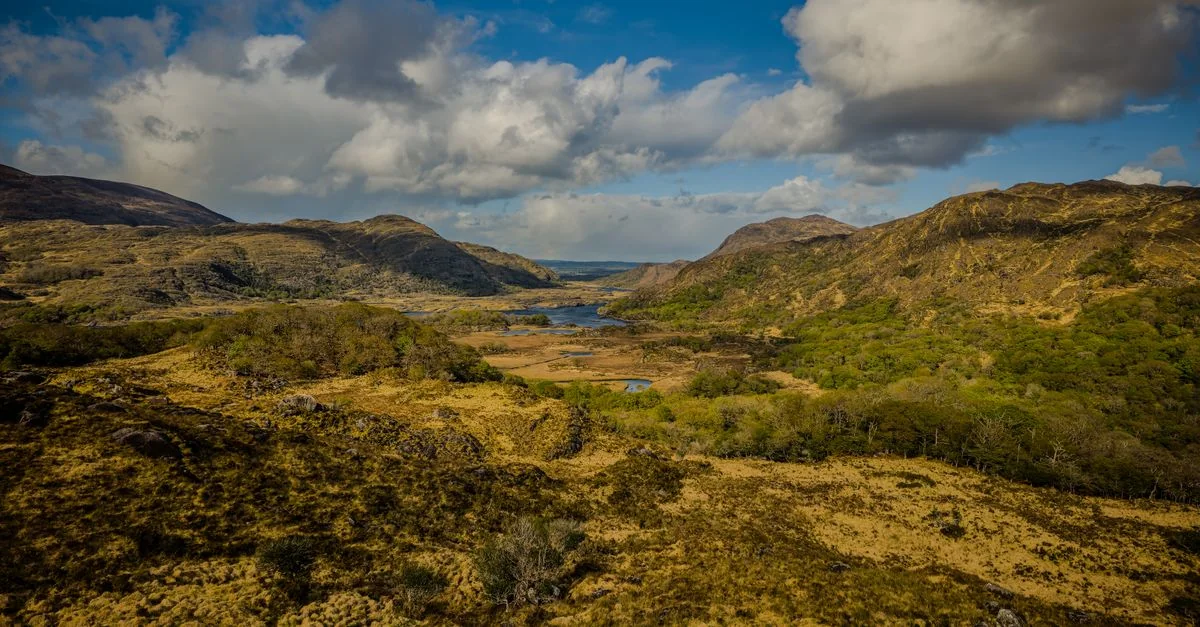 Nature and Wildlife Tours in Killarney: Discover Ireland