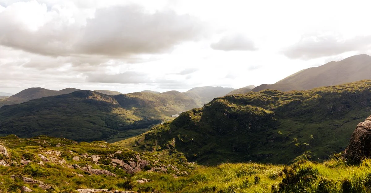 Nature and Wildlife Tours in Killarney: Discover Ireland