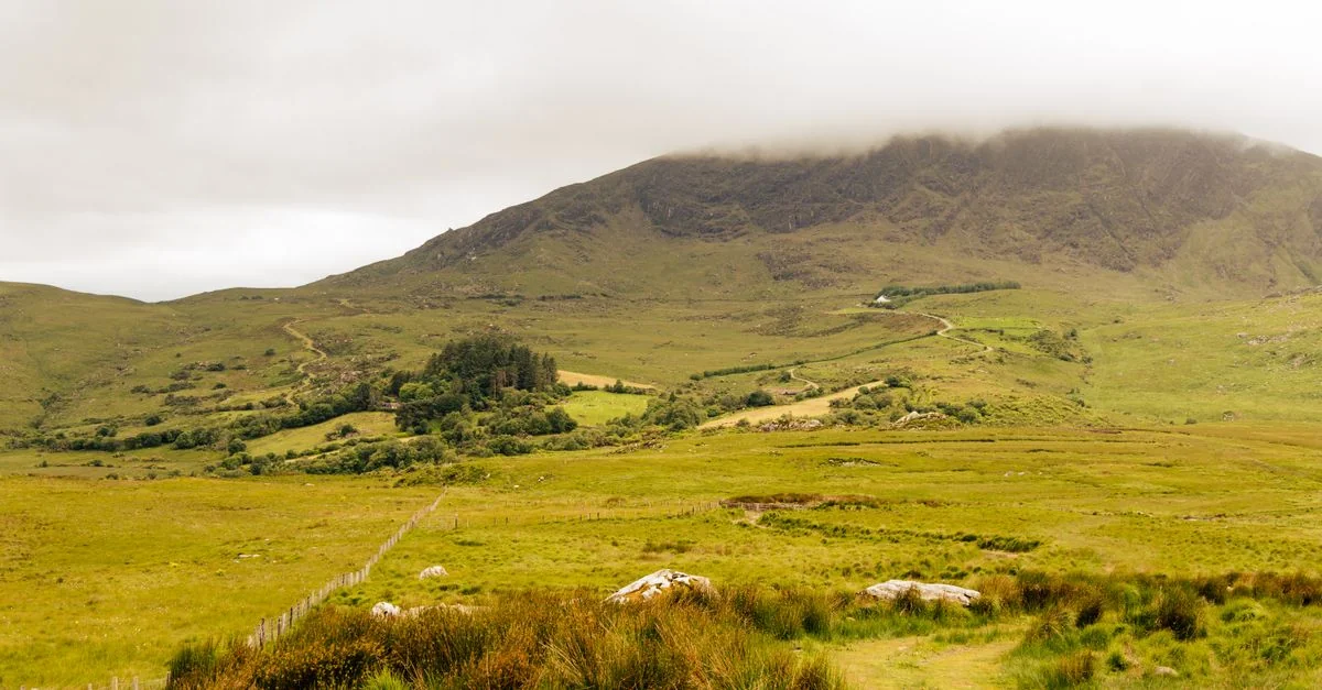 Nature and Wildlife Tours in Killarney: Discover Ireland