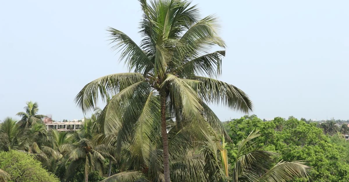 Exploring Konkan Division: A Day Tripper&rsquo;s Paradise