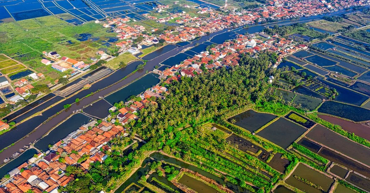 The Ultimate Food Lover&rsquo;s Guide to Kota Denpasar: Eating Your Way Through Bali&rsquo;s Capital