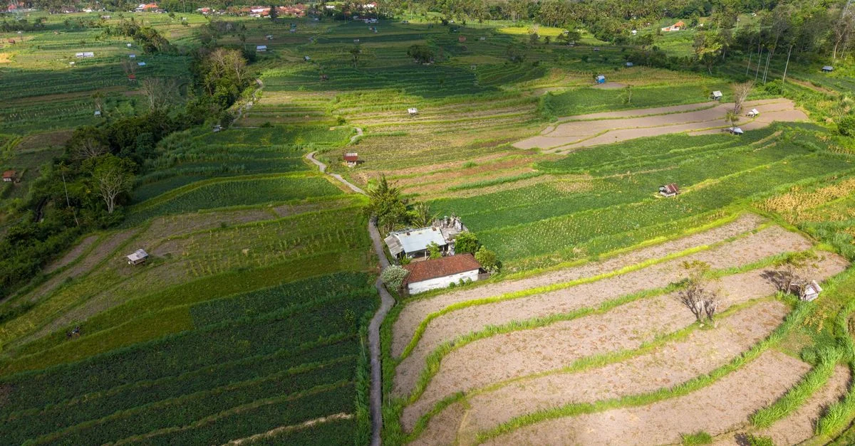 The Ultimate Food Lover&rsquo;s Guide to Kota Denpasar: Eating Your Way Through Bali&rsquo;s Capital