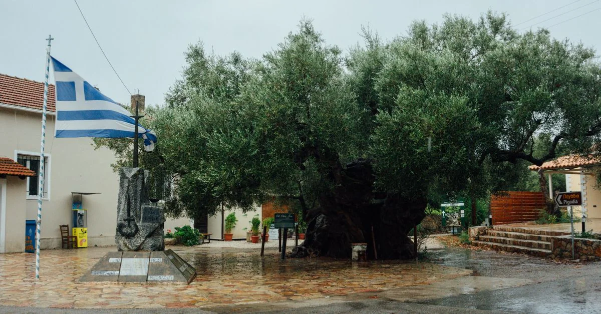 Kounoupidiana Food Tours Guide: Eating Your Way Through Crete