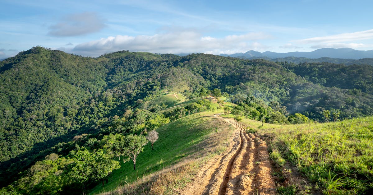 krung-thep-maha-nakhon-hiking-tours