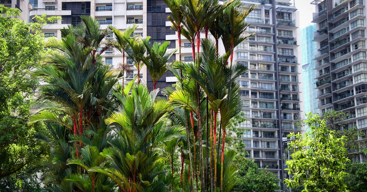 kuala-lumpur-phototour