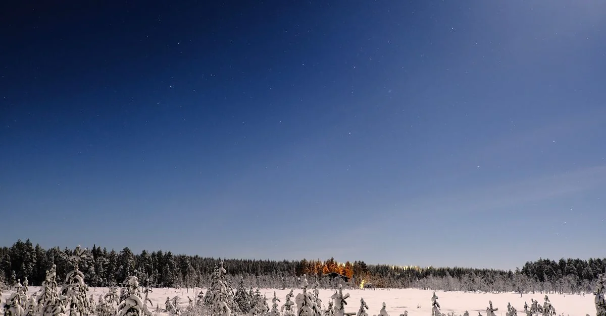 Nature and Wildlife Tours in Kuusamo: Discover Finland
