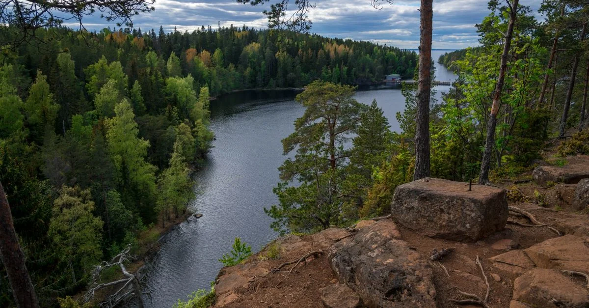 Nature and Wildlife Tours in Kuusamo: Discover Finland