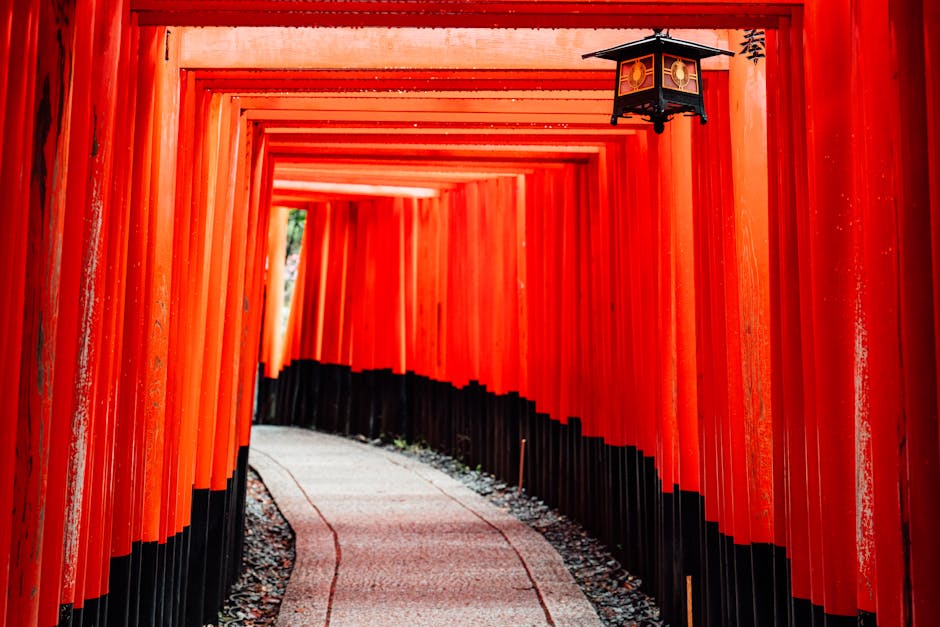 kyoto-food-tours
