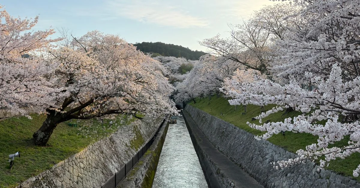 Kyoto: A Water Sports Adventure Awaits in Japan’s Ancient Capital
