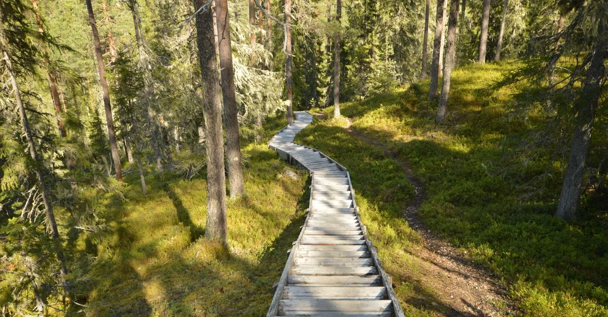 A Food Lover&rsquo;s Guide to Eating Through Levi, Finland