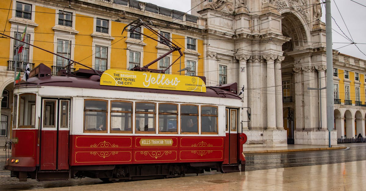 lisbon-food-tours