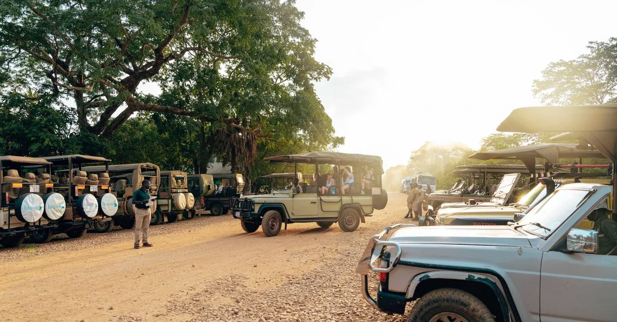 Best Cruise Tours in Livingstone