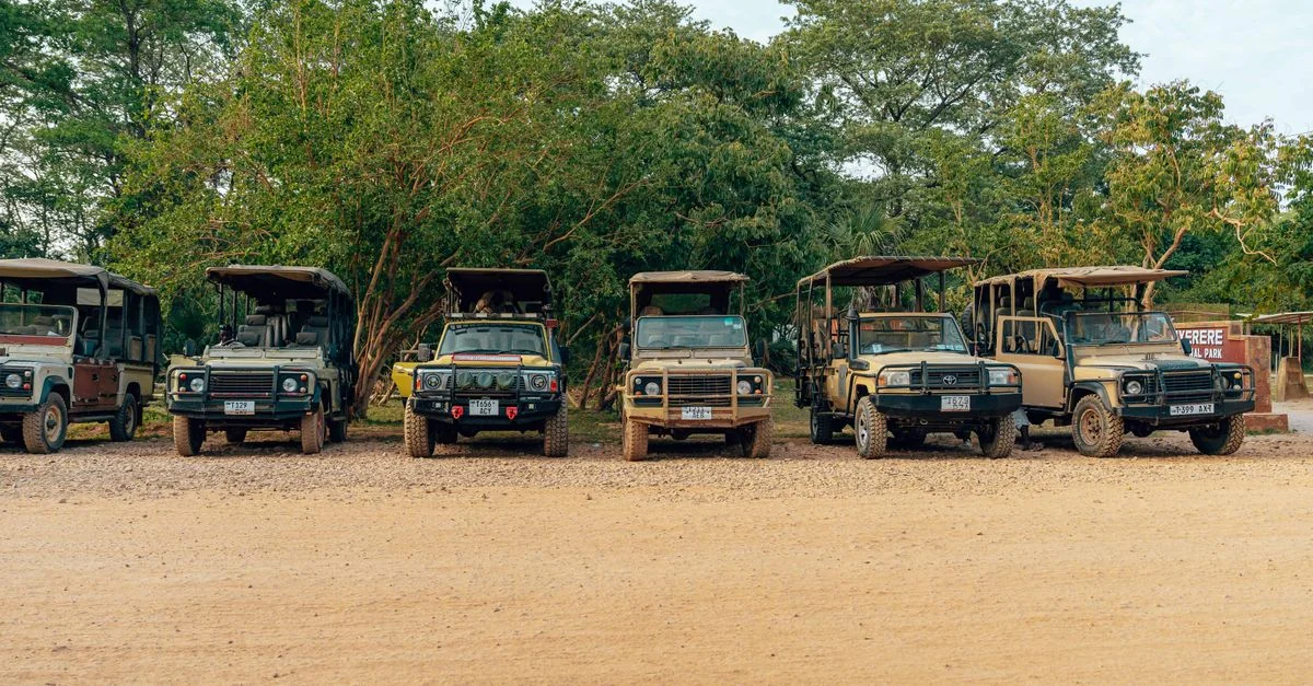 Best Cruise Tours in Livingstone