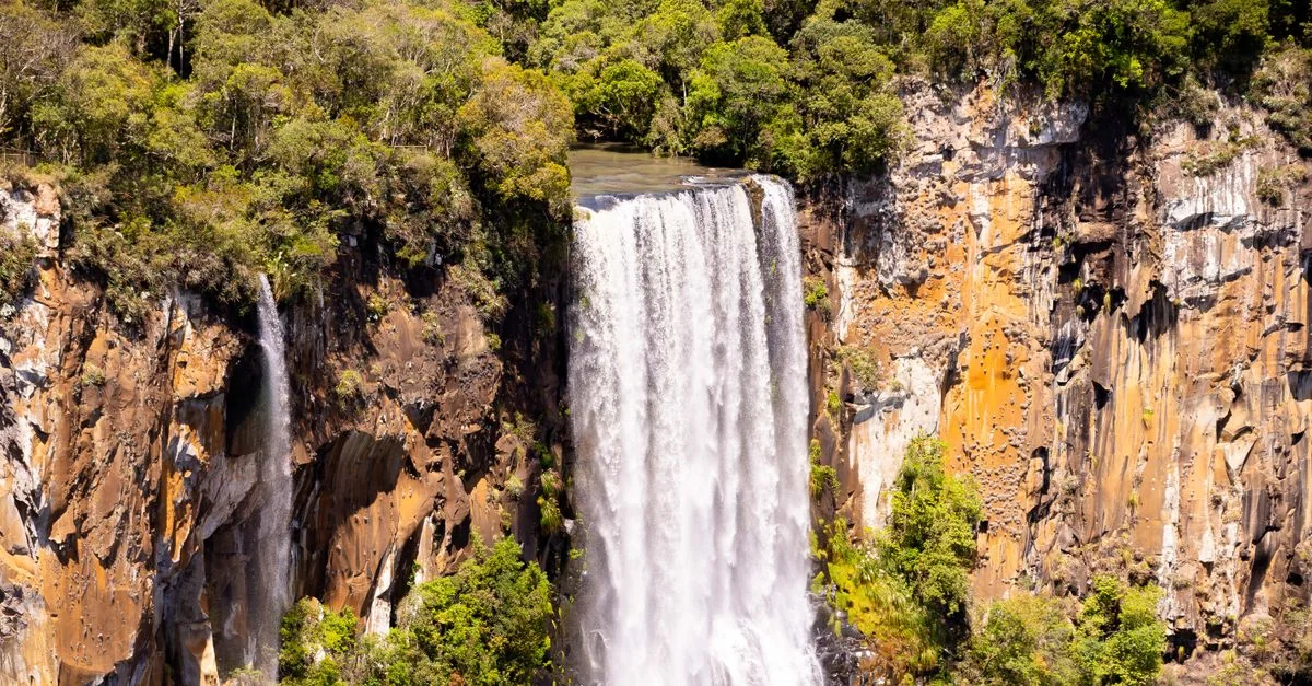 Best Cruise Tours in Livingstone