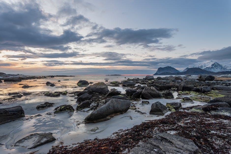 lofoten-norway