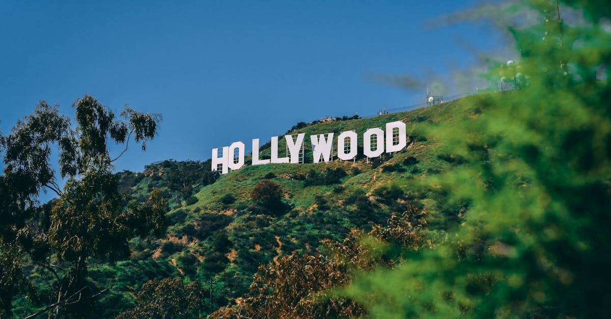 los-angeles-transfers