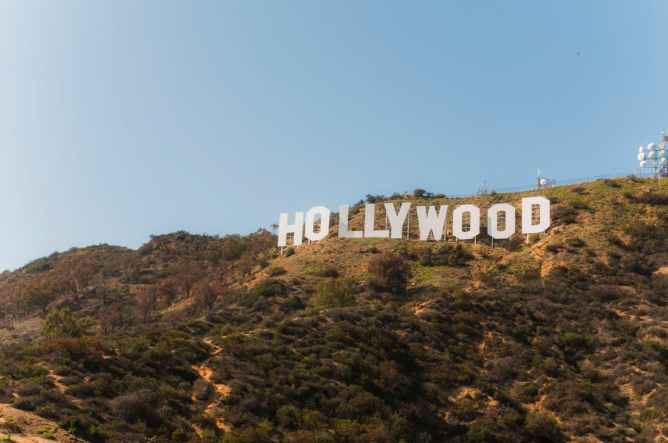los-angeles-transfers
