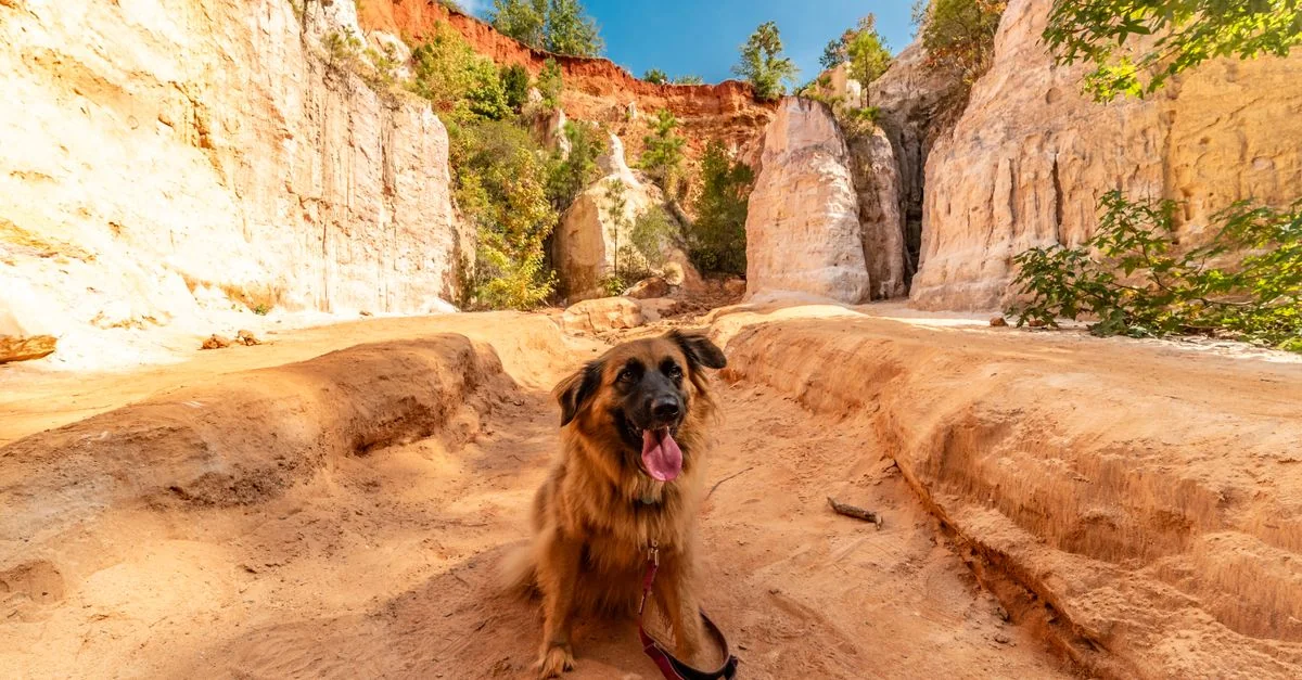 The Ultimate Lumpkin County Walking Tours Guide for Foot Travelers
