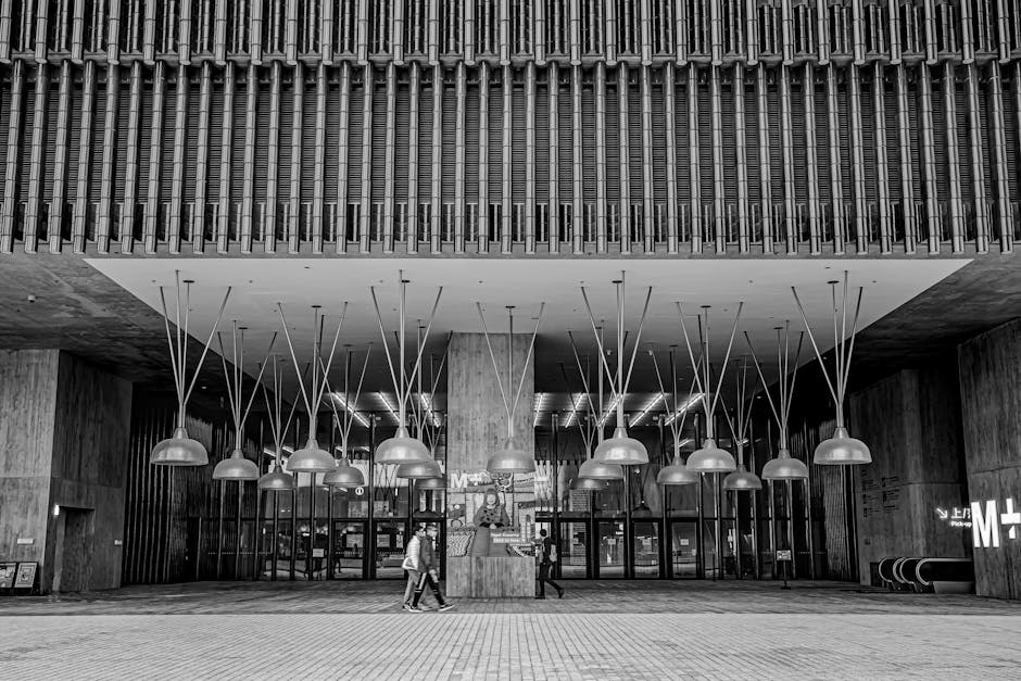 m-culture-tours