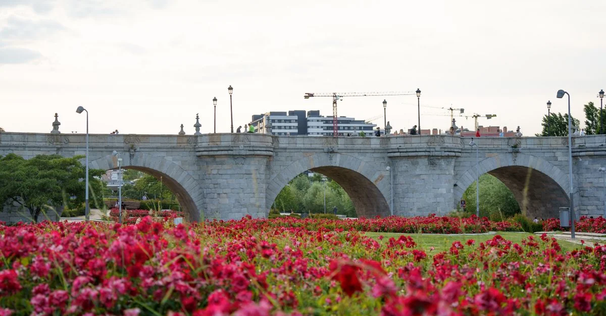 Madrid Chamartín to Salamanca by Train: Prices, Schedules and Travel Tips