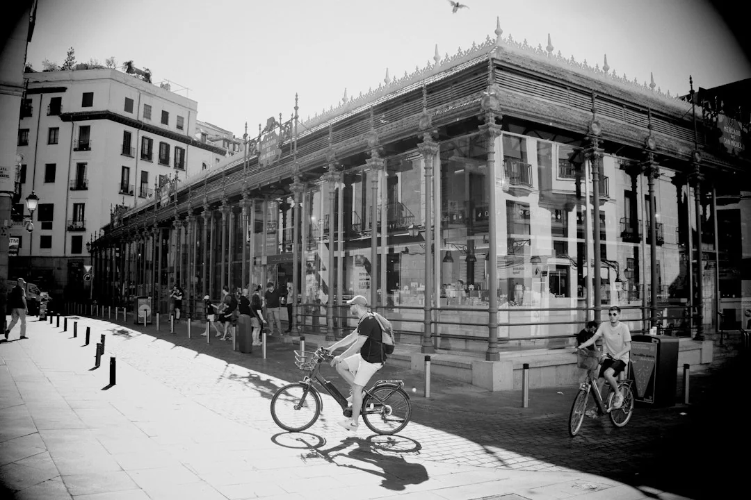 Madrid to Marbella: Exploring Your Transport Options