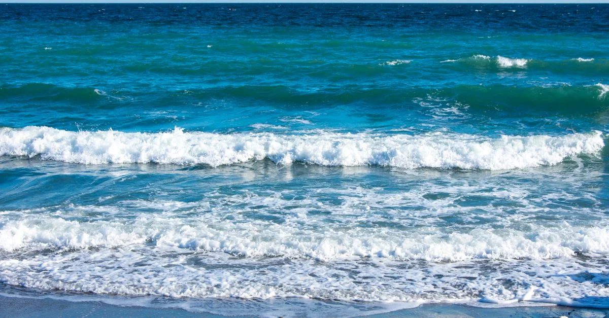 Traveling from Marbella to Málaga: A Practical Transit Guide