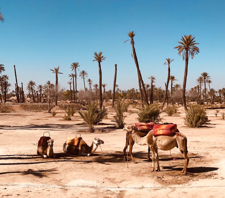 marrakech-morocco