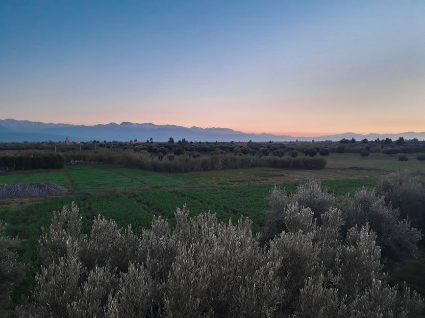 marrakech-multiday-tours