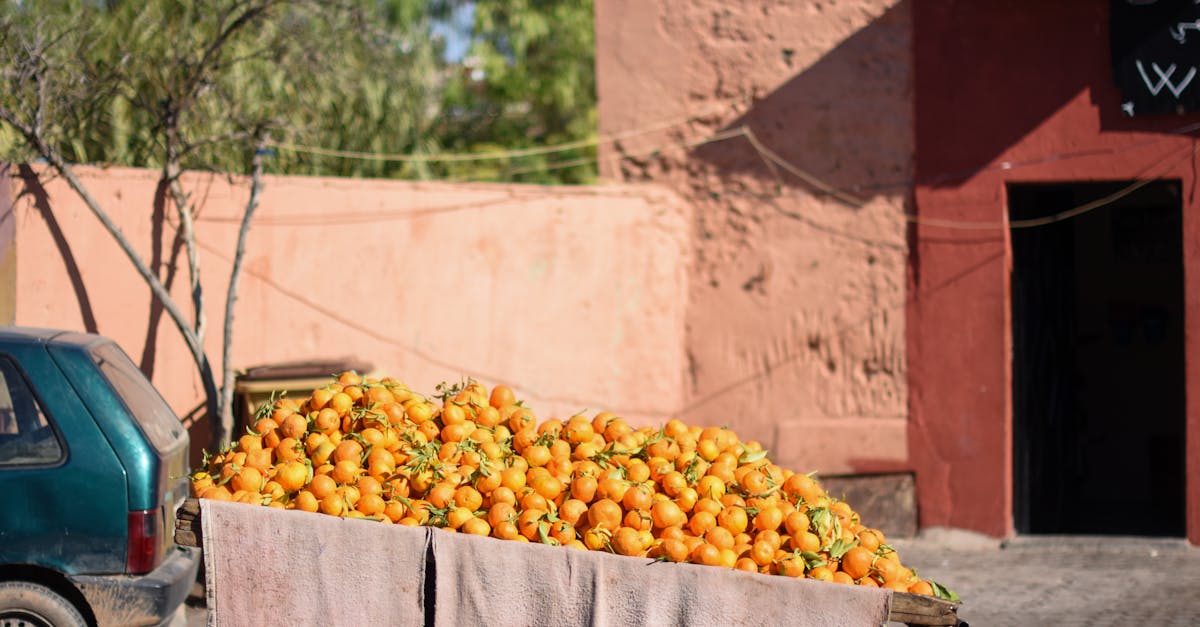 marrakesh-multiday-tours