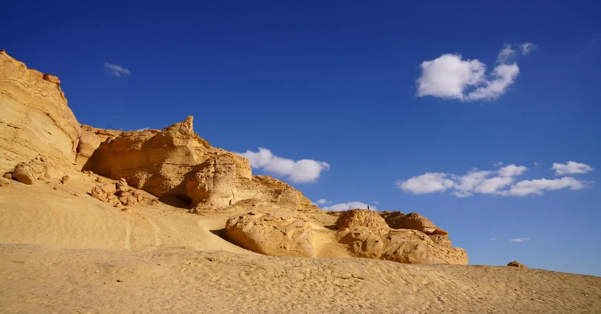 Best Cruise Tours in Marsa Alam