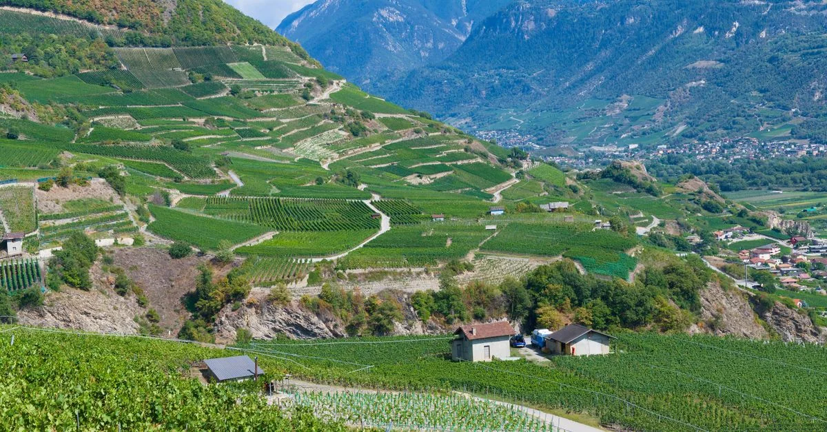 Traveling from Martigny to Montreux: A Comprehensive Transit Overview