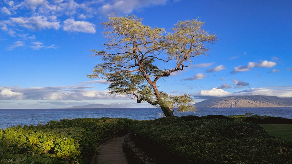 maui-county-adventure