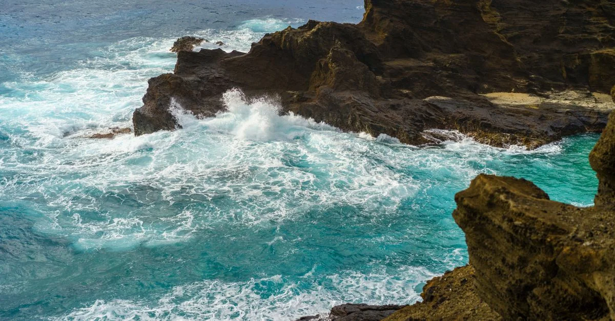 Best Cruise Tours in Maui County