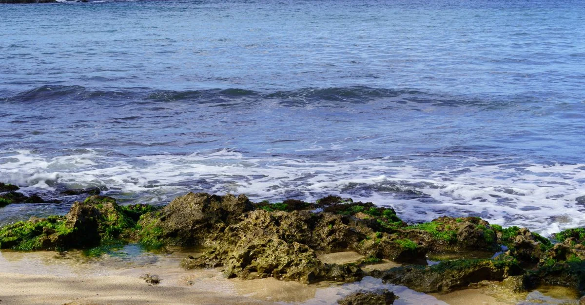 Best Cruise Tours in Maui County